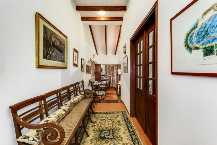 Quinta T5 para Venda em Garvão e Santa Luzia Foto 33