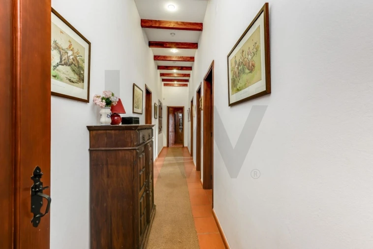 Quinta T5 para Venda em Garvão e Santa Luzia Foto 38