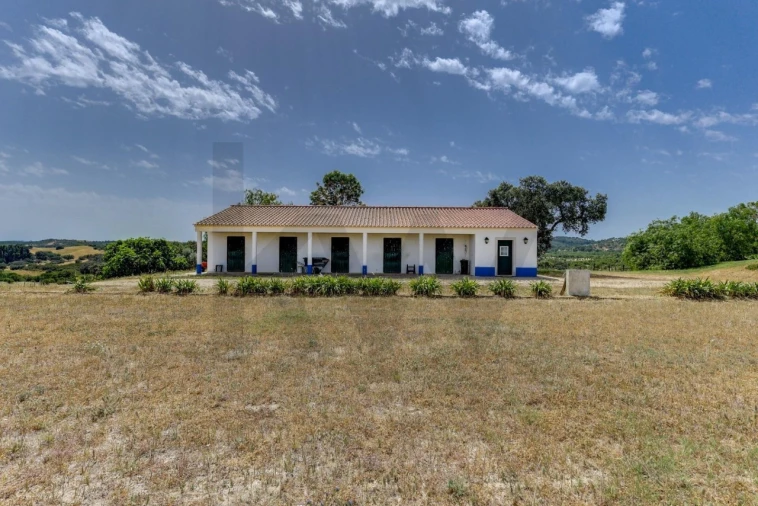 Quinta T5 para Venda em Garvão e Santa Luzia Foto 65