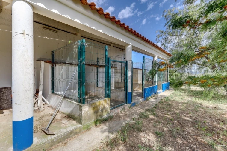 Quinta T5 para Venda em Garvão e Santa Luzia Foto 68