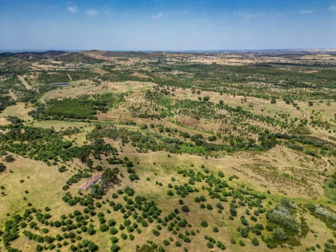 Quinta T5 para Venda em Garvão e Santa Luzia Foto 75