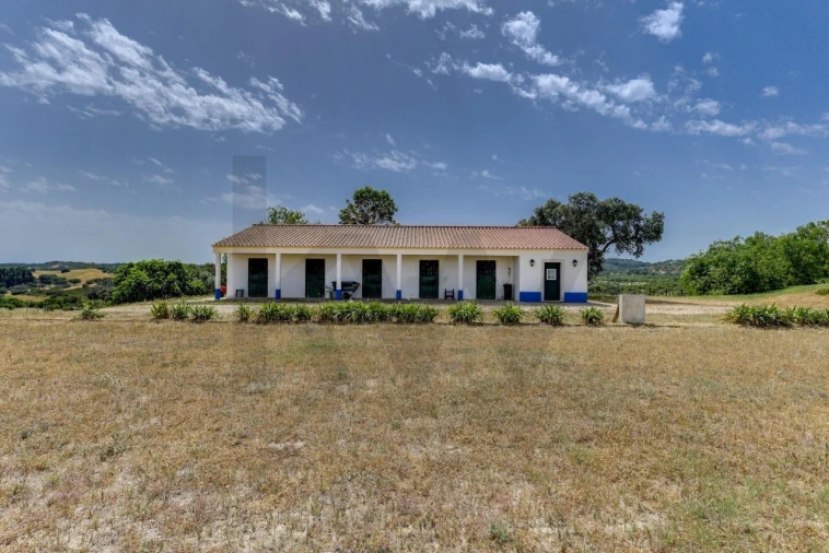 Quinta T5 para Venda em Garvão e Santa Luzia Foto 65