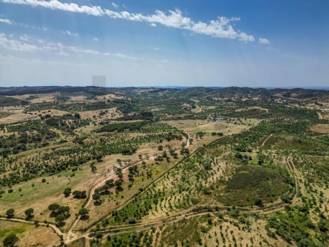 Quinta T5 para Venda em Garvão e Santa Luzia Foto 79