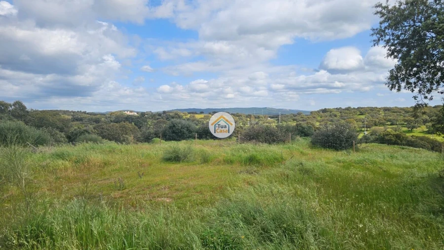 Terreno para Venda em Redondo Foto 10