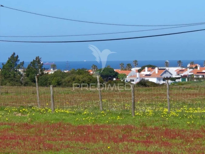 Quinta para Venda em Porto Covo Foto 13
