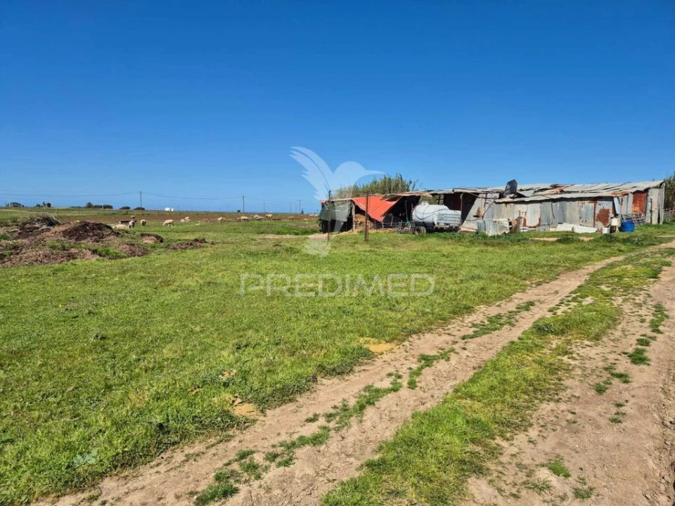 Quinta para Venda em Porto Covo Foto 9