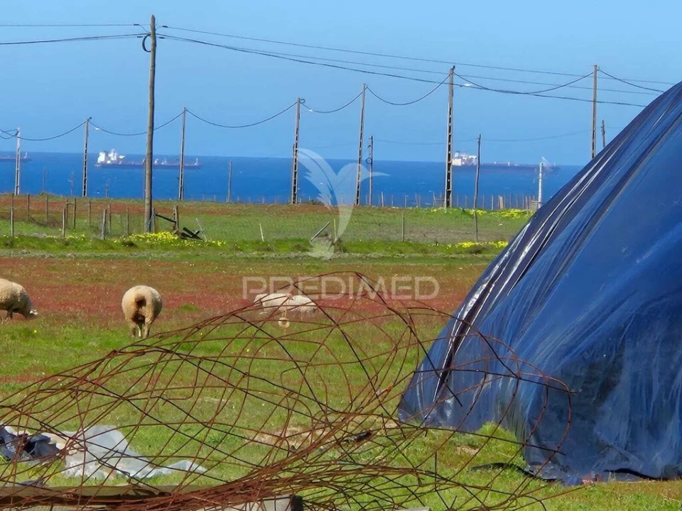 Quinta para Venda em Porto Covo Foto 11