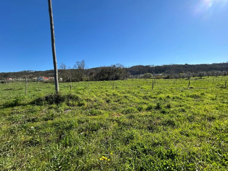 Terreno para Venda em Aguas Belas Foto 9