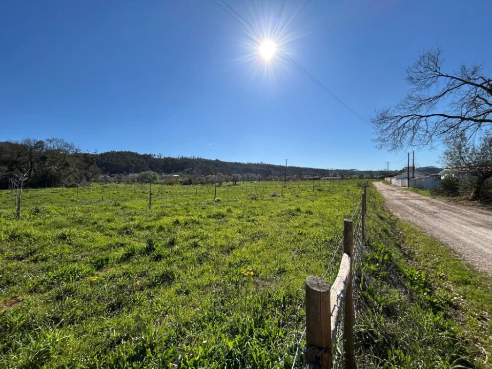Terreno para Venda em Aguas Belas Foto 7