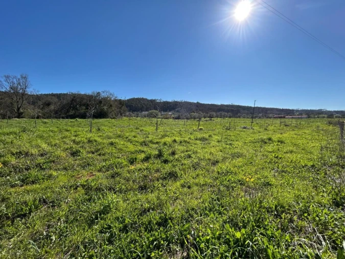 Terreno para Venda em Aguas Belas Foto 8