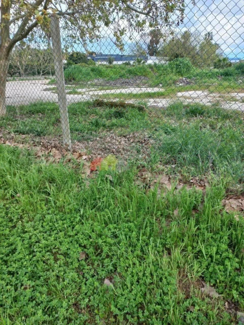 Terreno para Venda em Palmela