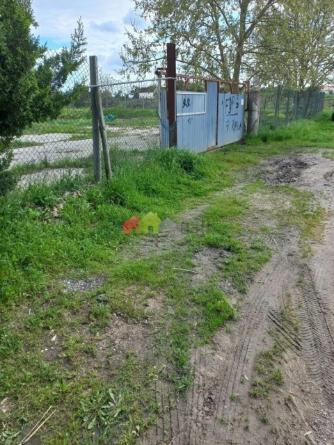 Terreno para Venda em Palmela