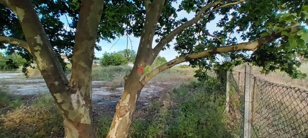Terreno para Venda em Palmela