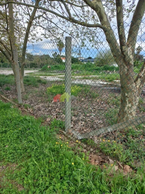 Terreno para Venda em Palmela