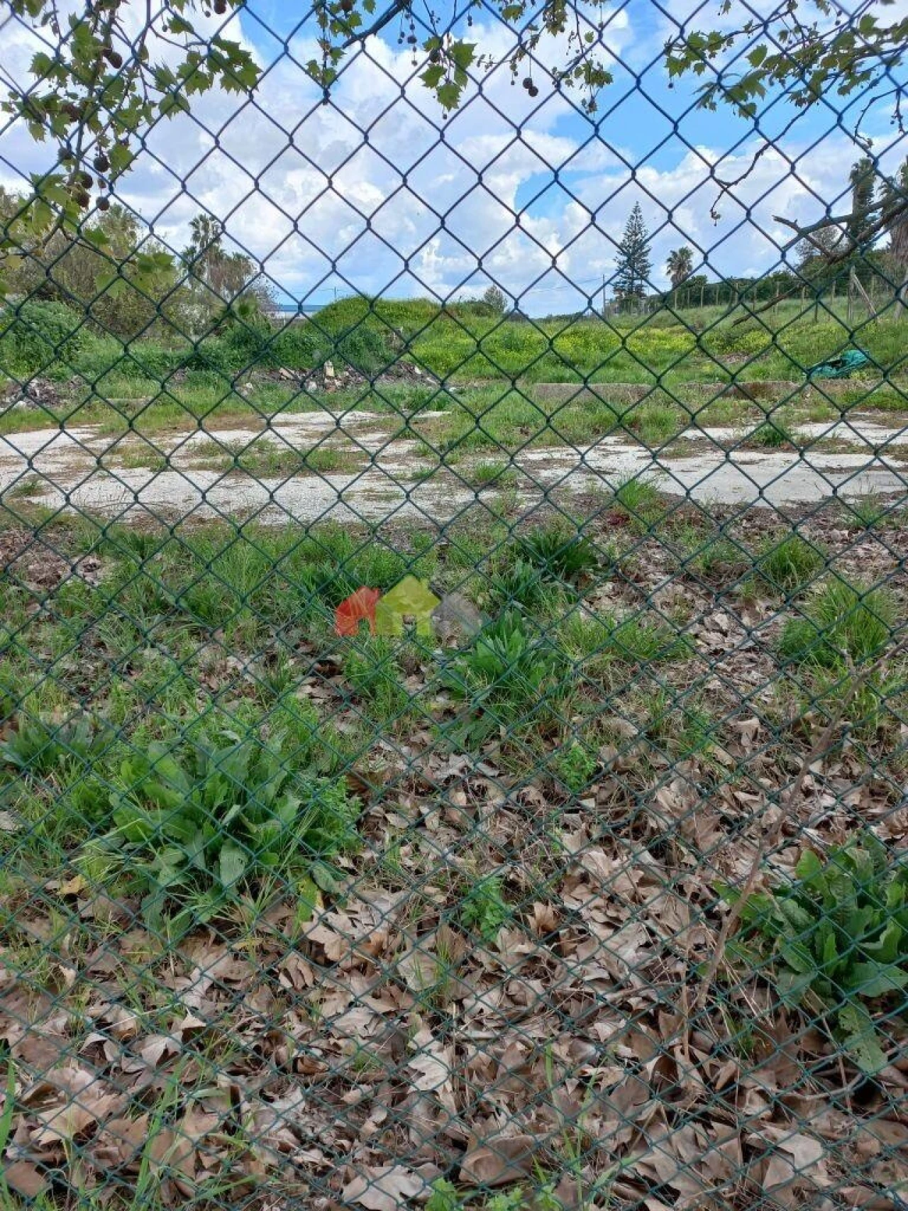 Terreno para Venda em Palmela Foto 5