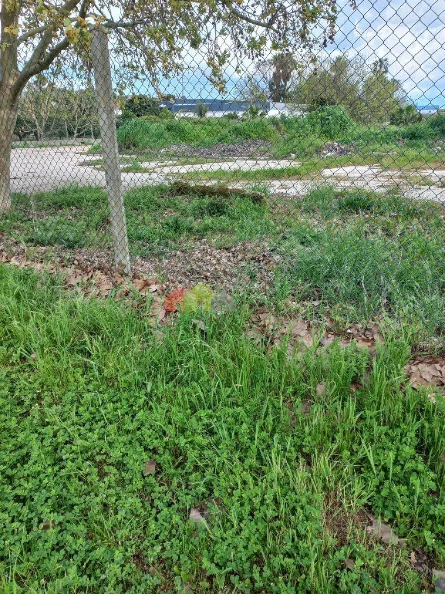 Terreno para Venda em Palmela Foto 7
