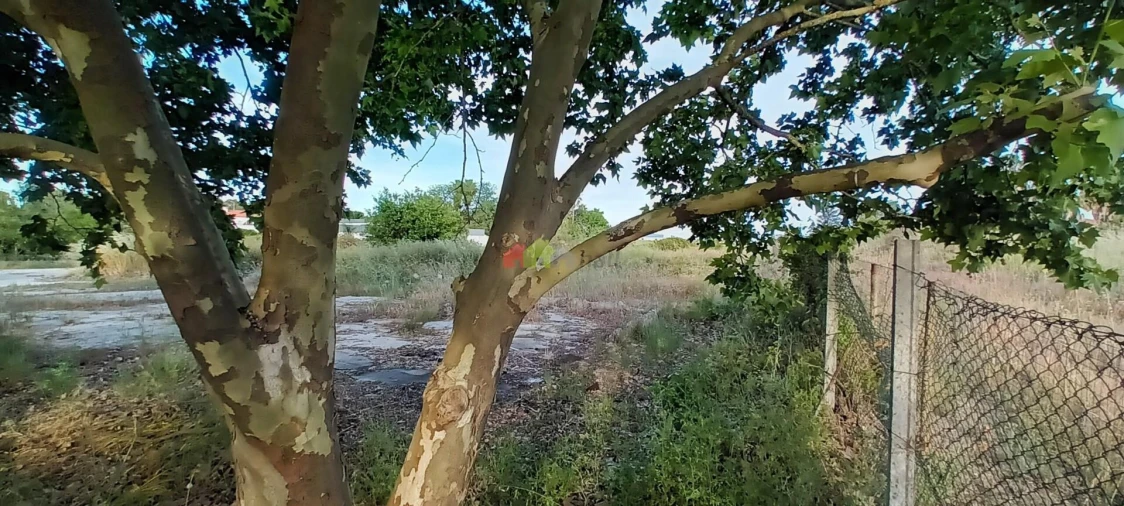Terreno para Venda em Palmela Foto 14