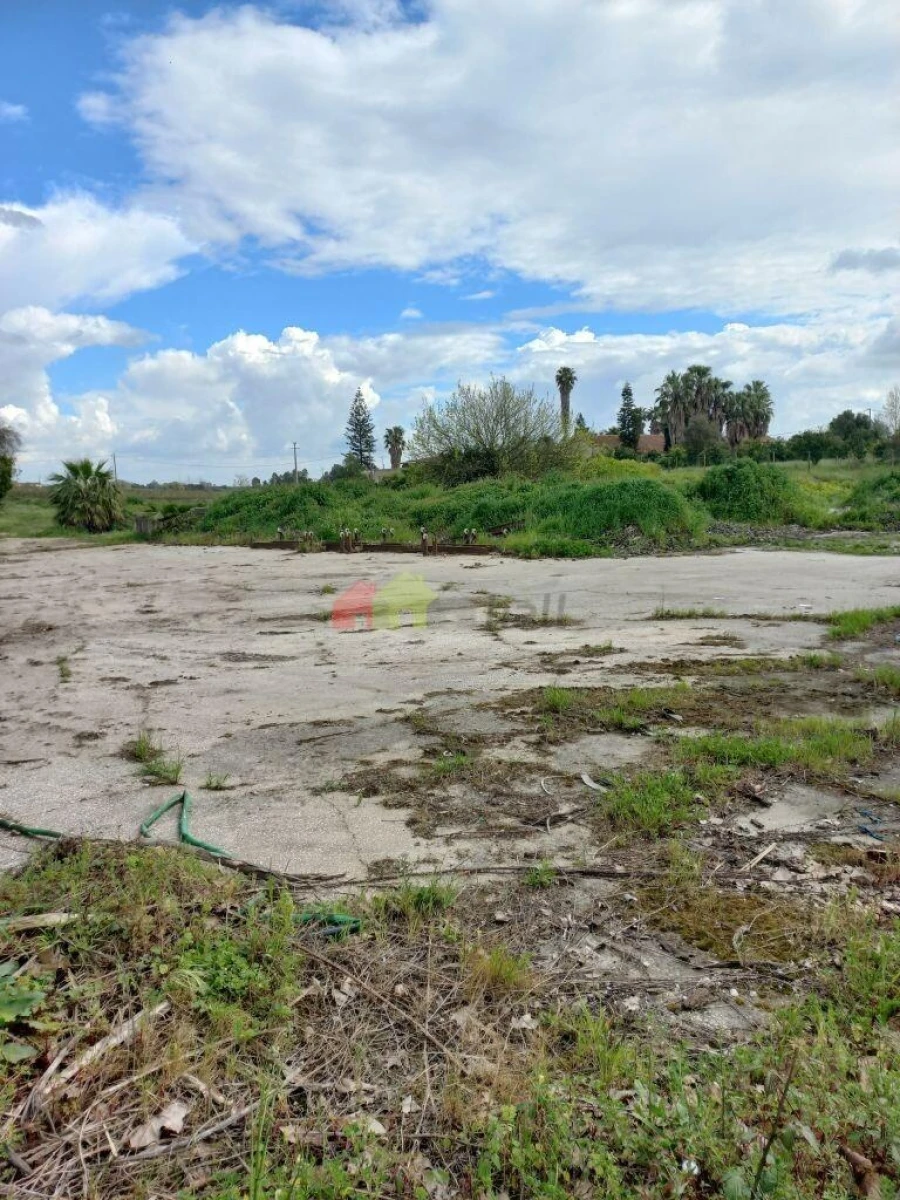 Terreno para Venda em Palmela Foto 4