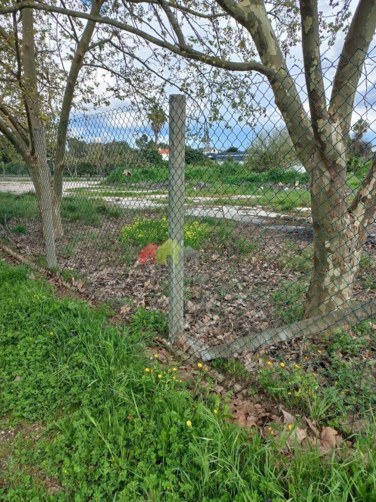 Terreno para Venda em Palmela Foto 6