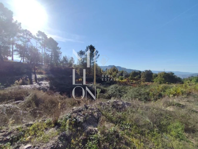 Terreno para Venda em Couto Foto 19