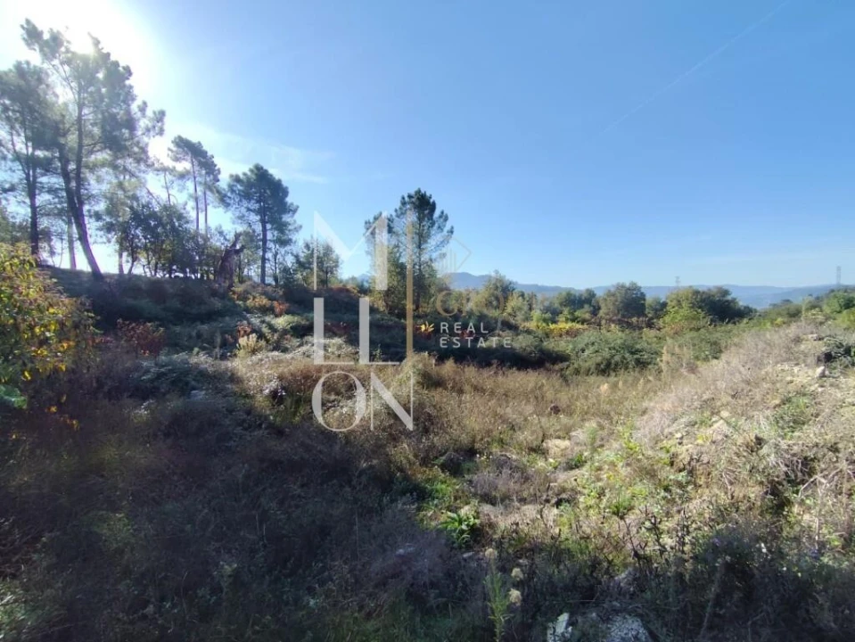 Terreno para Venda em Couto Foto 1