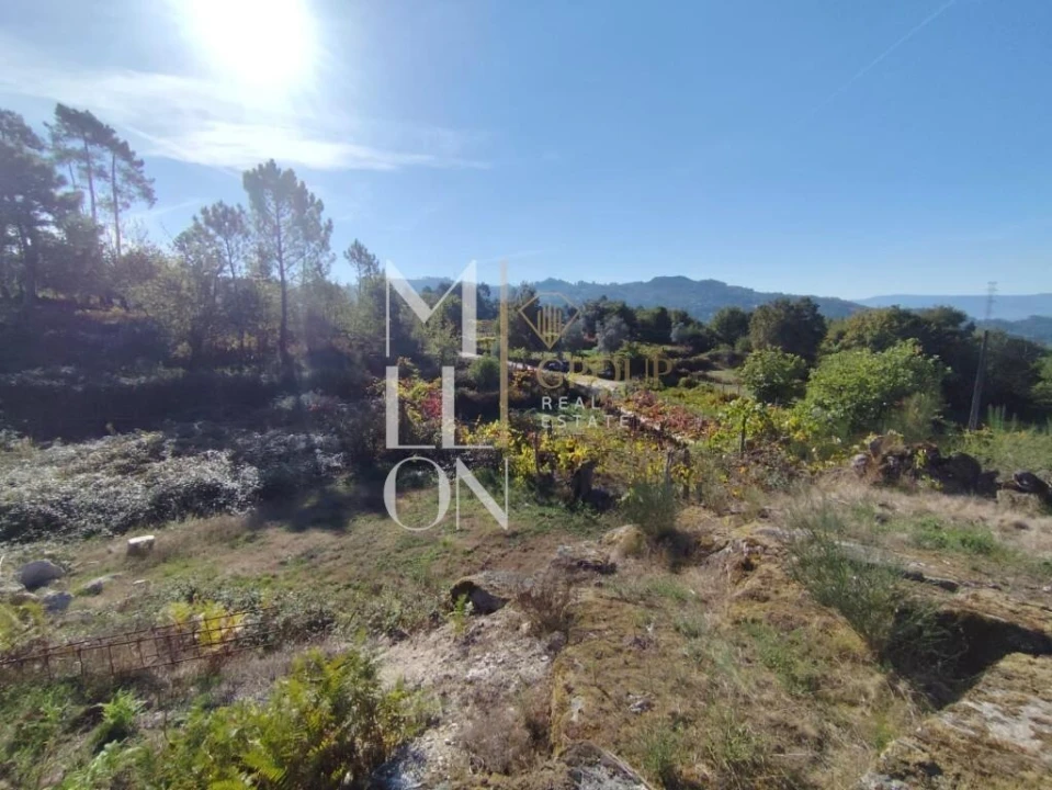 Terreno para Venda em Couto Foto 5