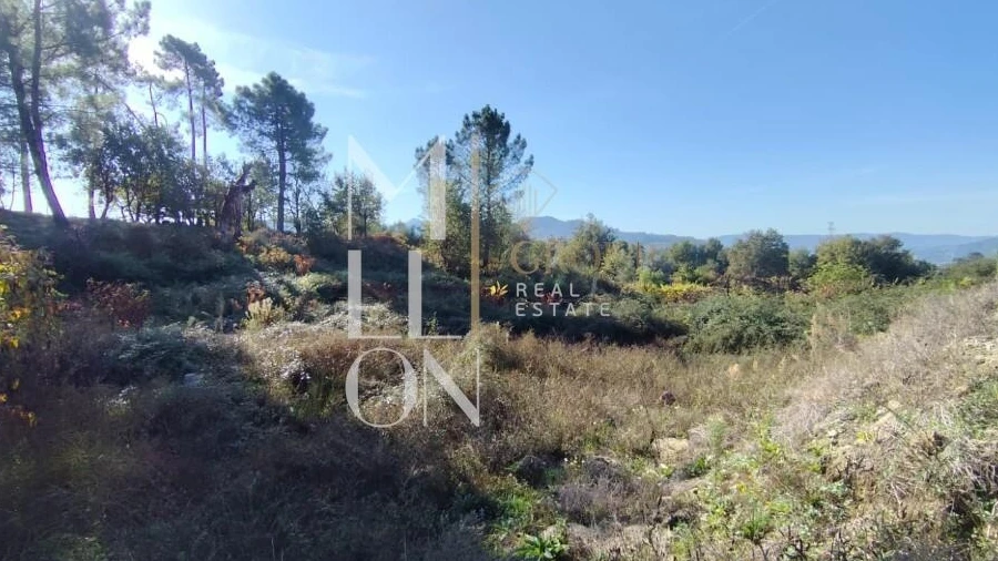 Terreno para Venda em Couto