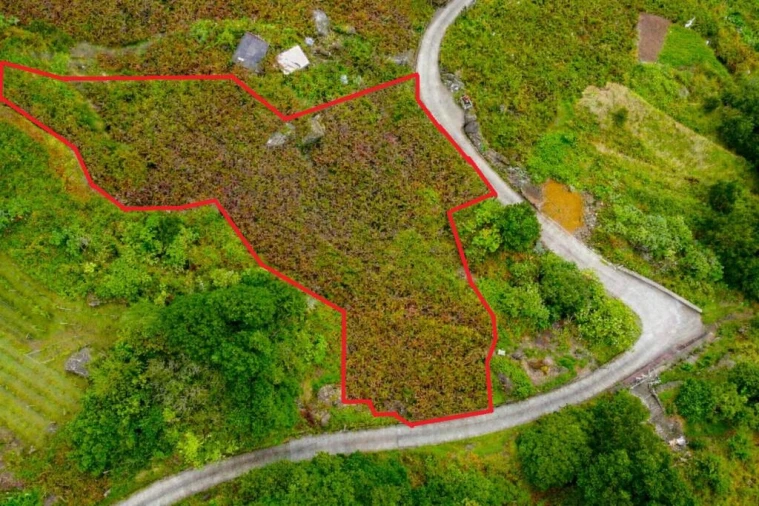 Terreno para Venda em São Vicente Foto 10