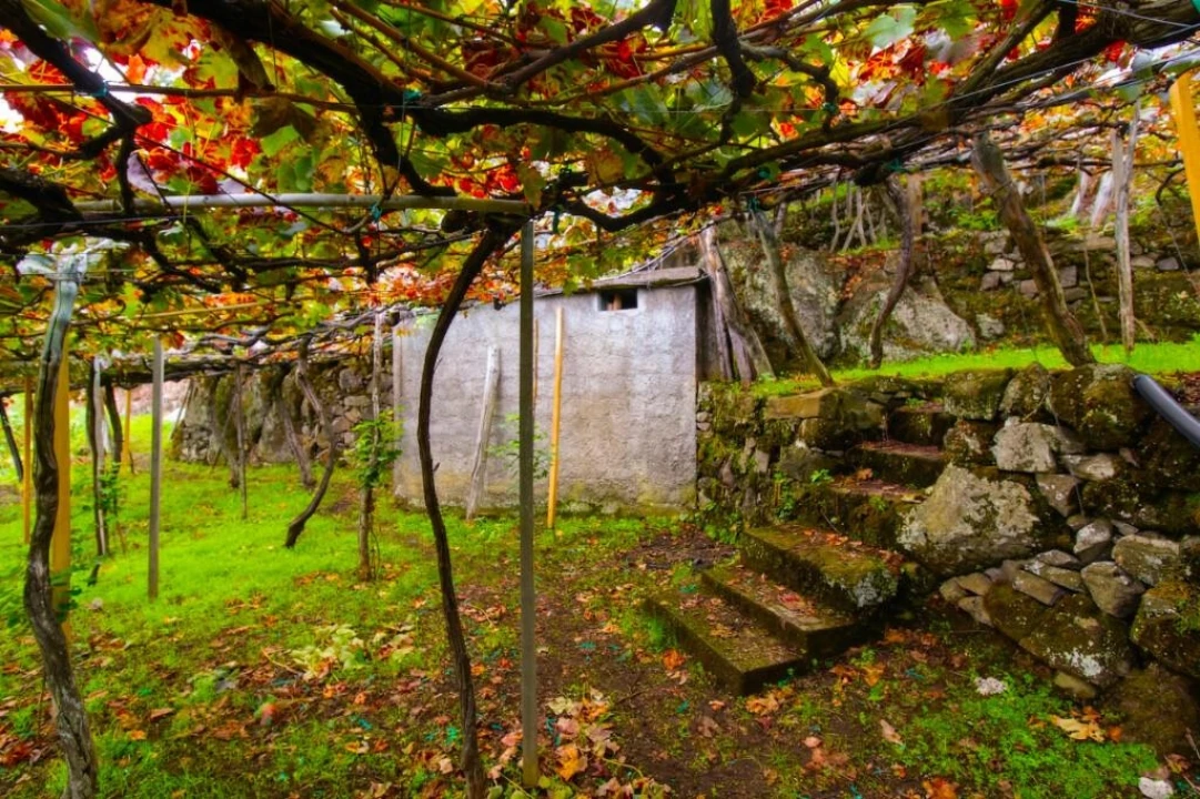 Terreno para Venda em São Vicente Foto 9