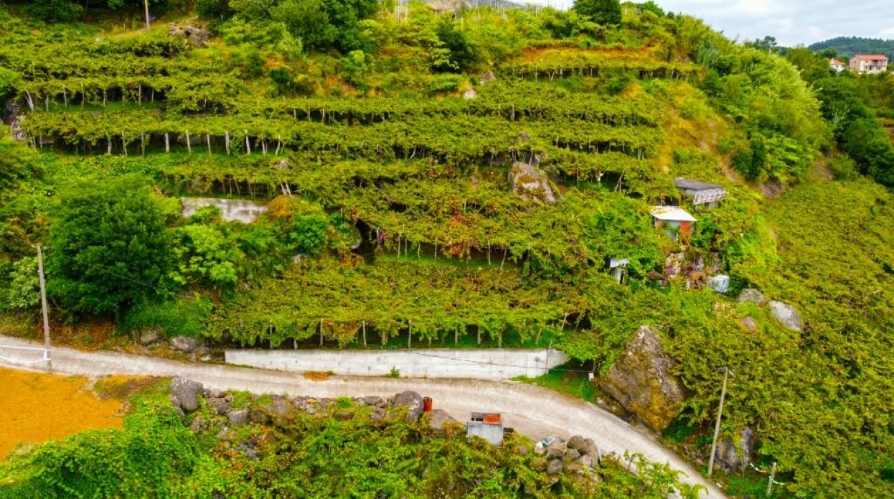 Terreno para Venda em São Vicente Foto 1