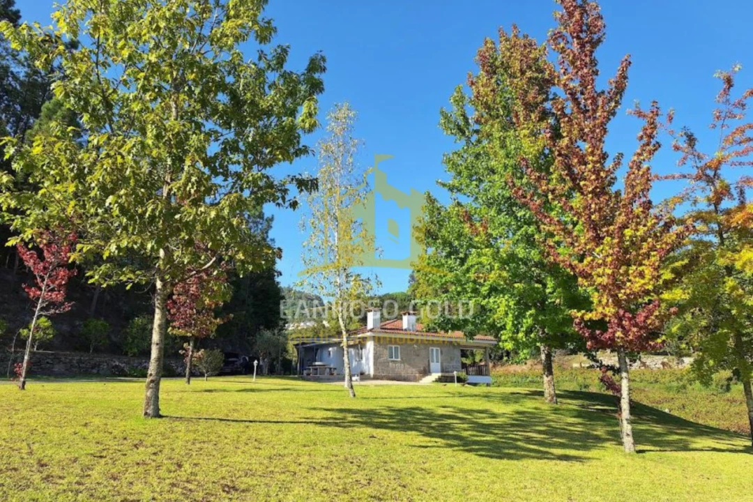 Quinta T3 para Venda em Bouro (Santa Maria) Foto 12