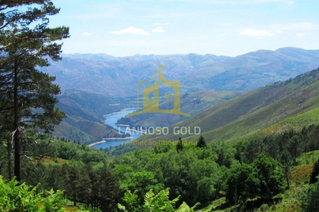 Quinta T3 para Venda em Bouro (Santa Maria) Foto 14