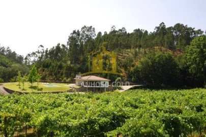 Quinta T3 para Venda em Bouro (Santa Maria)