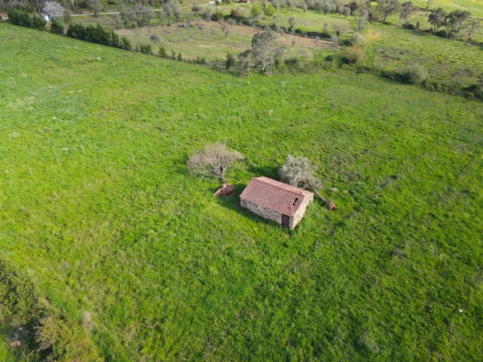 Terreno para Venda em Aguas Belas Foto 9