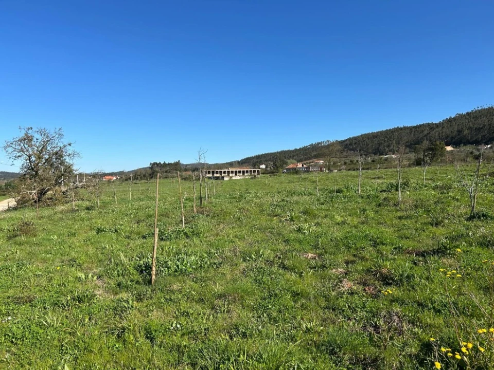 Terreno para Venda em Aguas Belas Foto 15