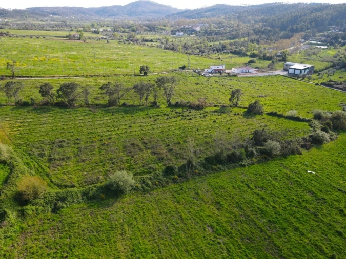 Terreno para Venda em Aguas Belas Foto 12