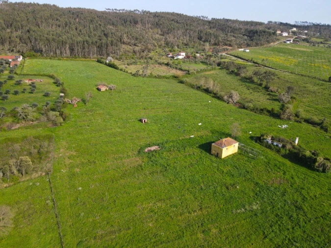 Terreno para Venda em Aguas Belas Foto 7
