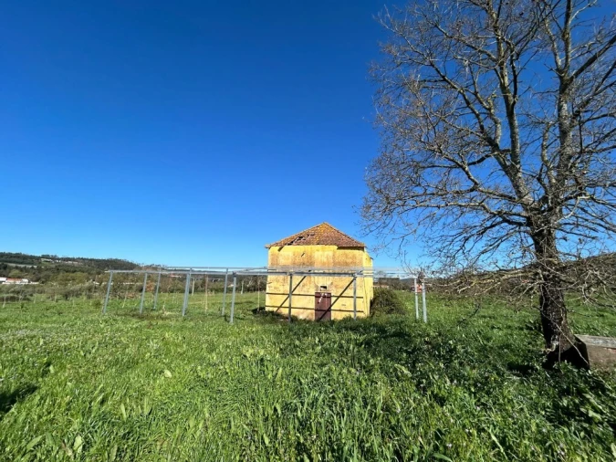 Terreno para Venda em Aguas Belas Foto 13