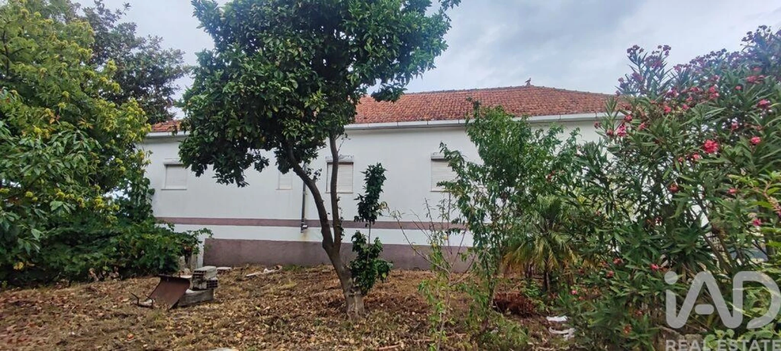 Moradia T4 para Venda em Loivo Foto 27