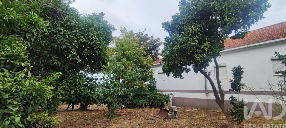 Moradia T4 para Venda em Loivo Foto 26