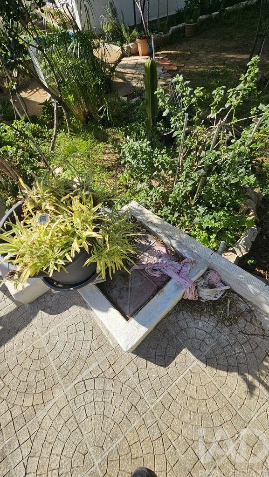 Moradia T3 para Venda em Loule (São Clemente) Foto 16