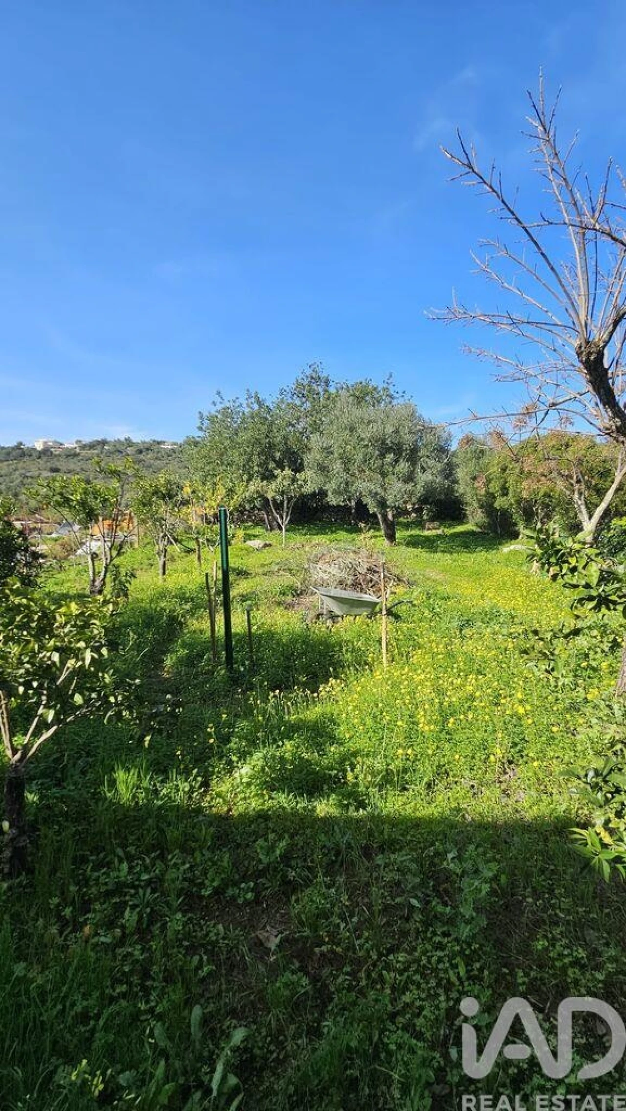 Moradia T3 para Venda em Loule (São Clemente) Foto 6