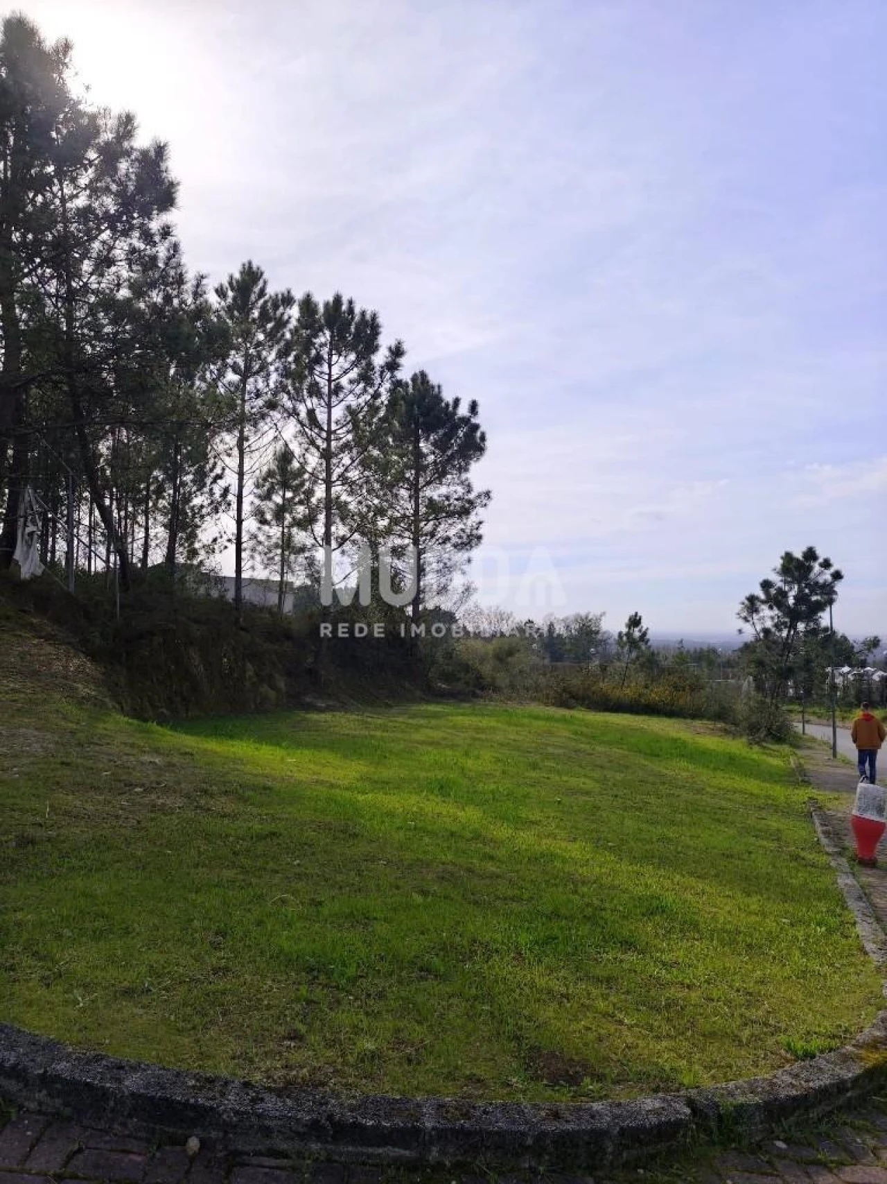 Terreno para Venda em Pinheiro da Bemposta, Travanca e Palmaz Foto 2