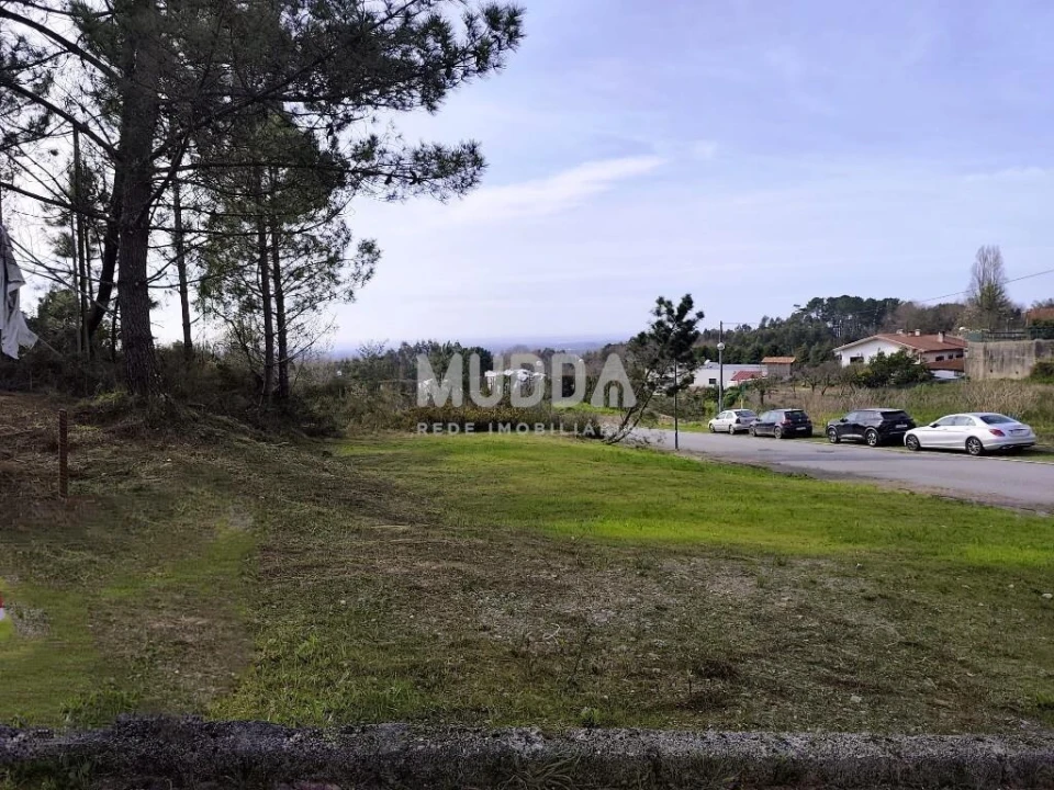 Terreno para Venda em Pinheiro da Bemposta, Travanca e Palmaz Foto 1