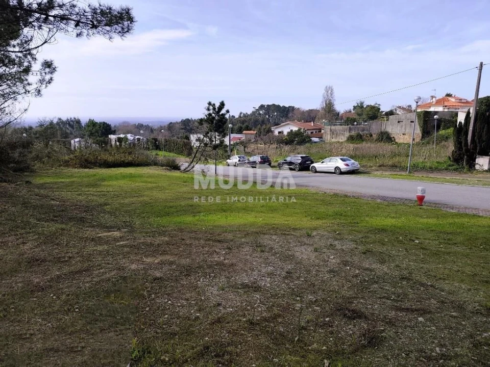Terreno para Venda em Pinheiro da Bemposta, Travanca e Palmaz Foto 5