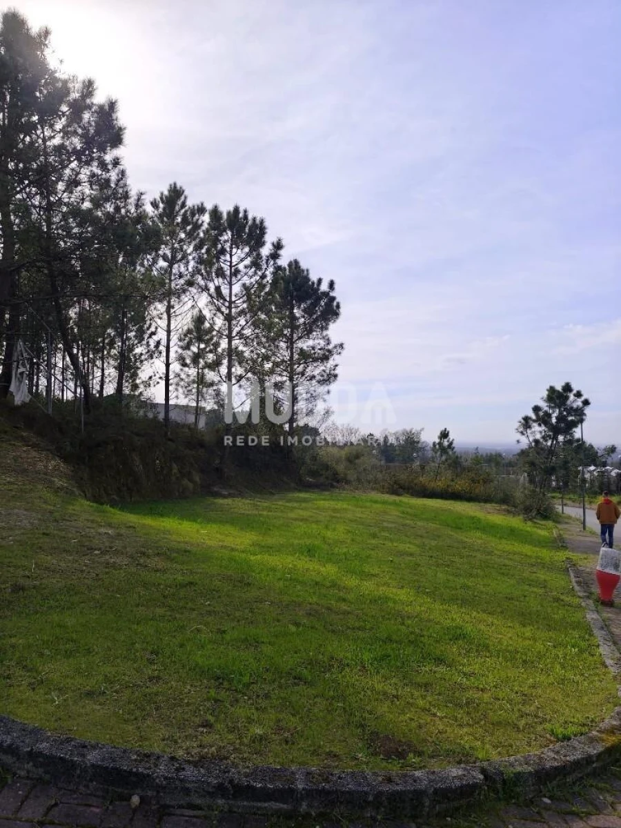 Terreno para Venda em Pinheiro da Bemposta, Travanca e Palmaz Foto 2