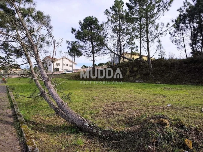 Terreno para Venda em Pinheiro da Bemposta, Travanca e Palmaz Foto 8