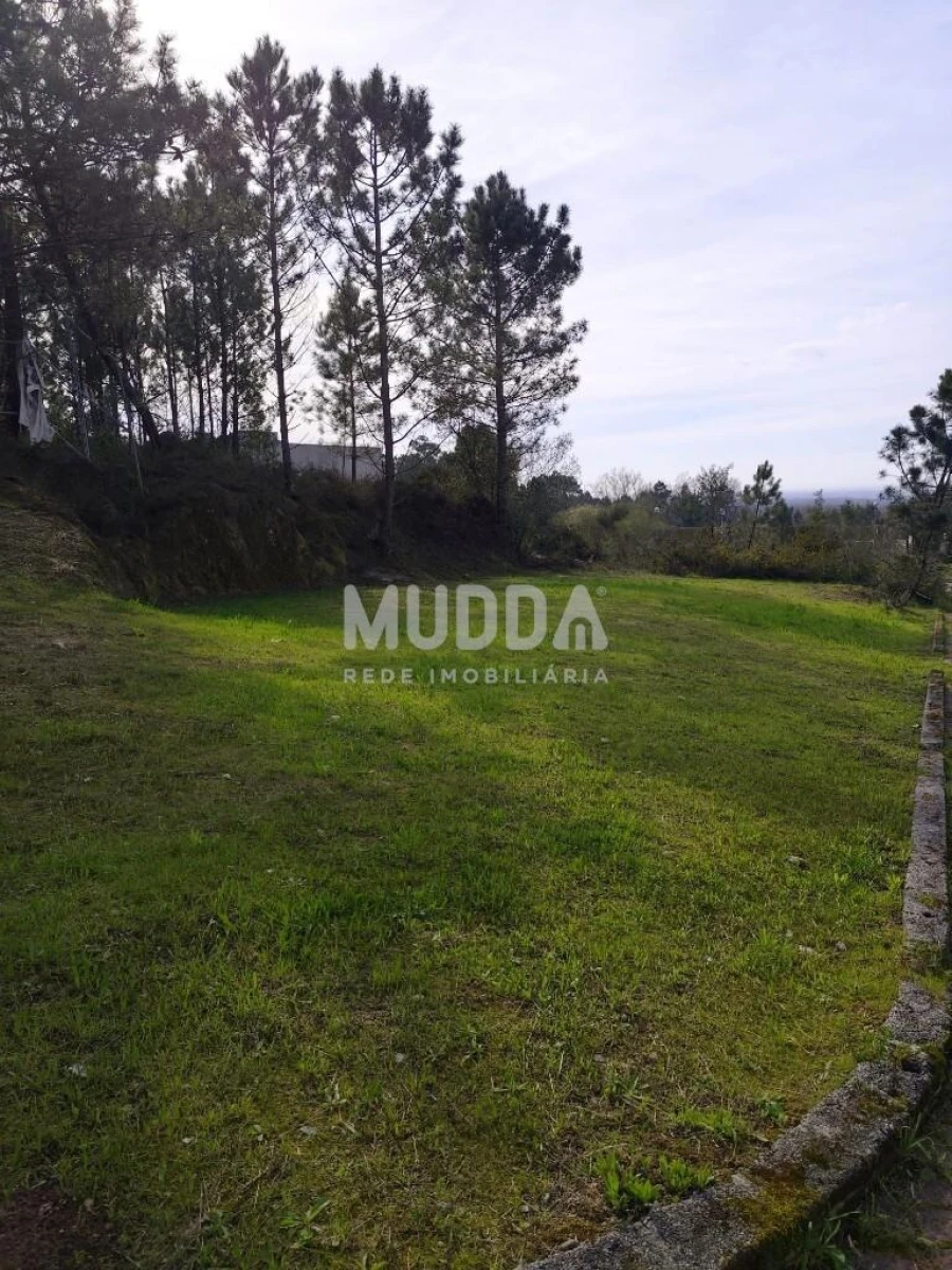 Terreno para Venda em Pinheiro da Bemposta, Travanca e Palmaz Foto 6