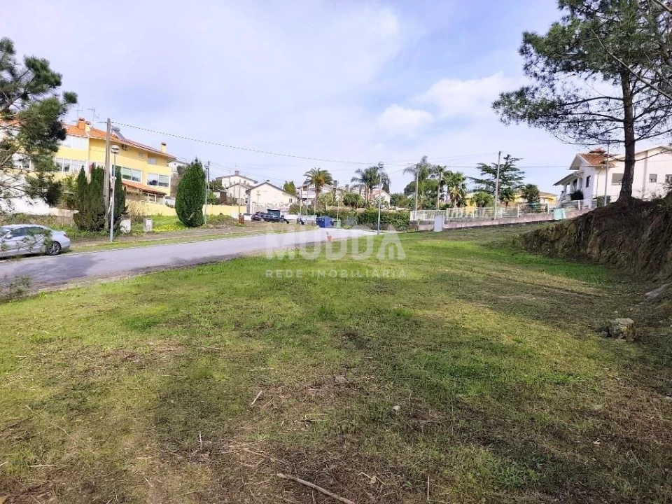 Terreno para Venda em Pinheiro da Bemposta, Travanca e Palmaz Foto 9