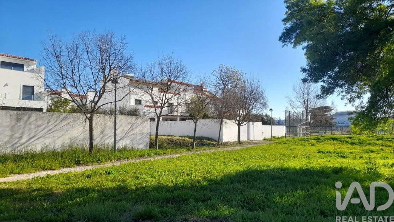 Terreno para Venda em São Bras e São Lourenço Foto 11